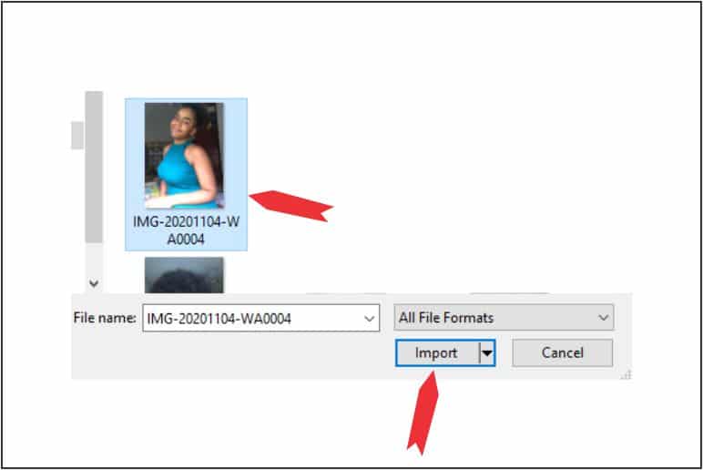 choose photo to import