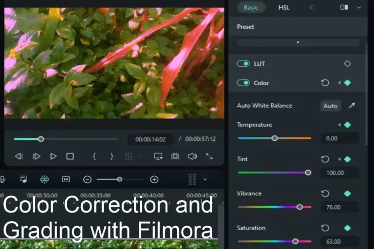 Color Correction and Grading in Filmora: Step-by-Step