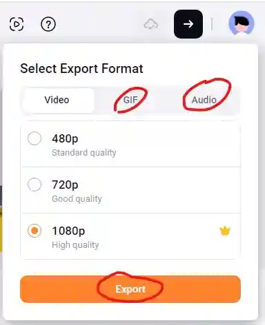 Select export format